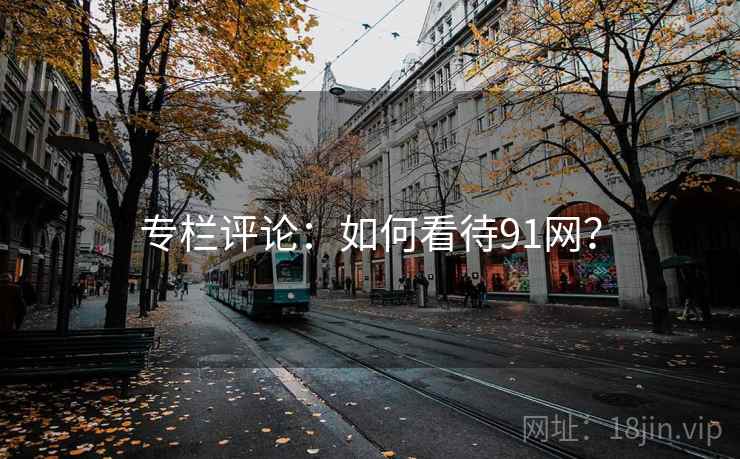 专栏评论：如何看待91网？