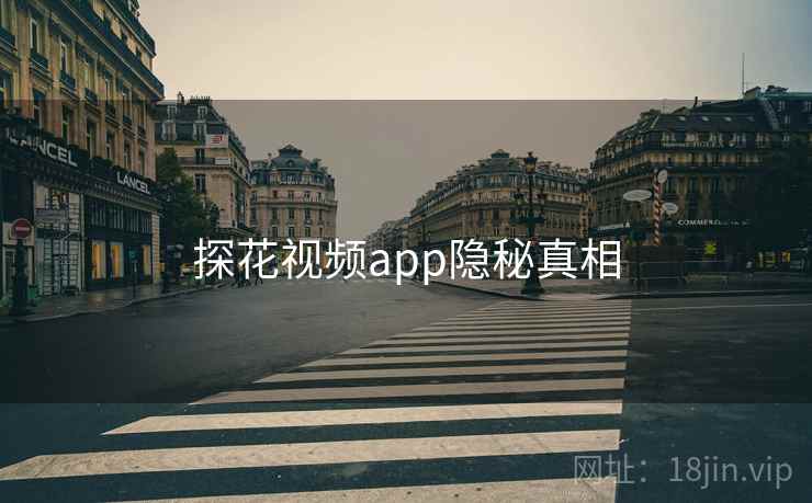 探花视频app隐秘真相
