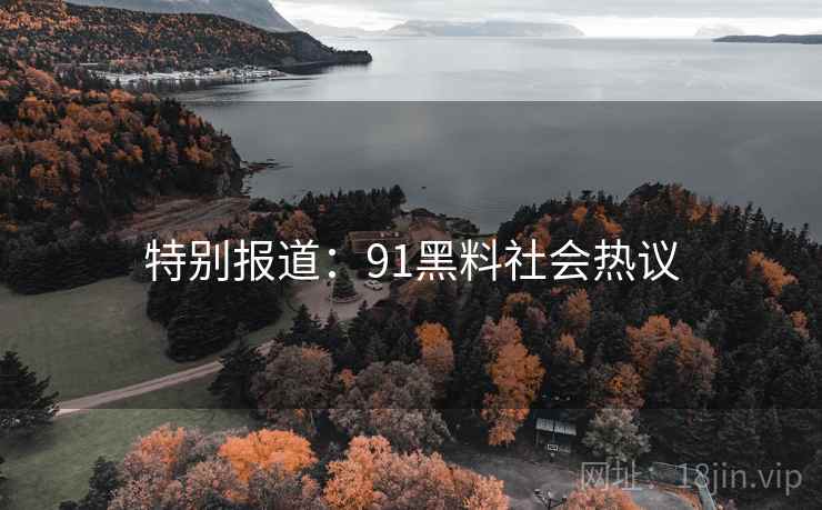 特别报道：91黑料社会热议