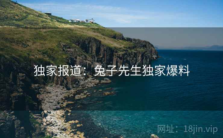 独家报道：兔子先生独家爆料