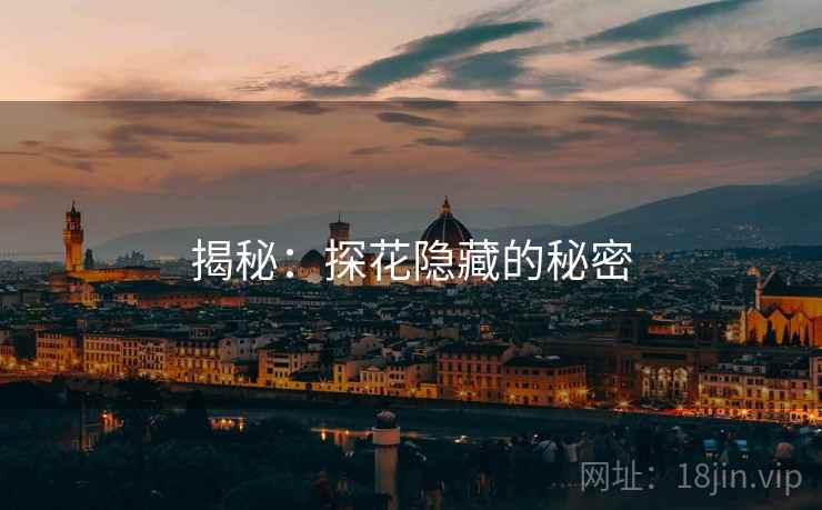 揭秘：探花隐藏的秘密