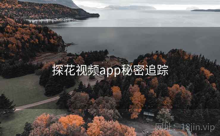 探花视频app秘密追踪