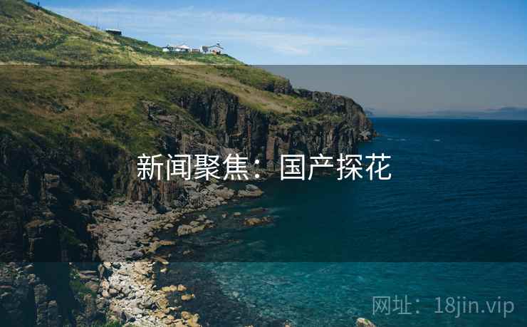 新闻聚焦：国产探花