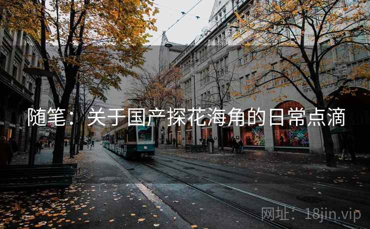 随笔：关于国产探花海角的日常点滴