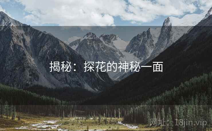 揭秘：探花的神秘一面