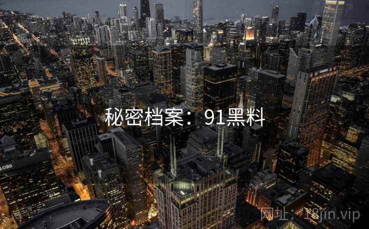秘密档案：91黑料