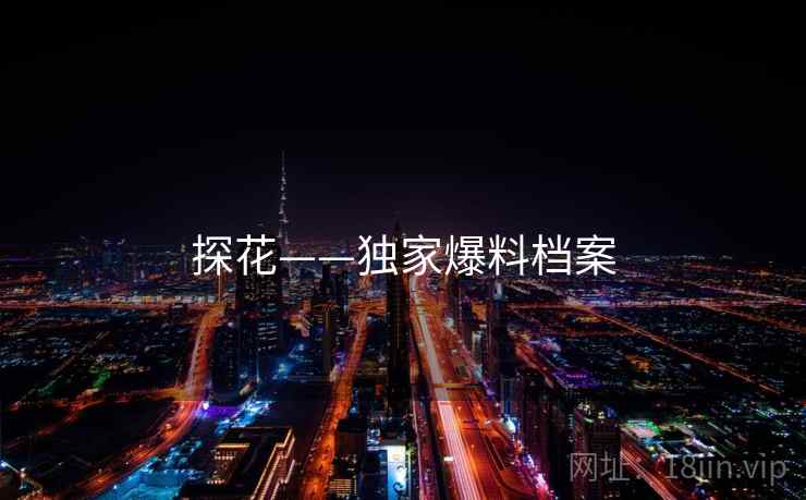 探花——独家爆料档案