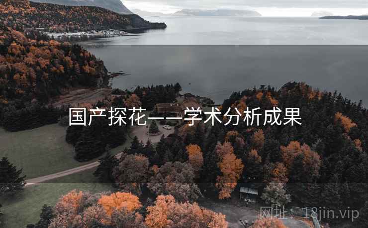 国产探花——学术分析成果