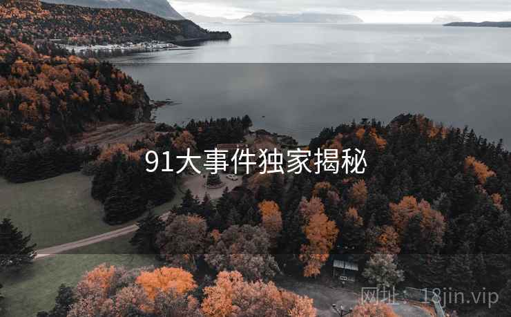 91大事件独家揭秘